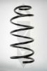 SPIDAN 49452 Coil Spring